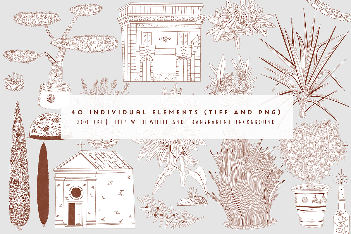 Tuscany Wedding Design Set, a Decorative Illustration by Mente Volante Studio (Photo 2 of 7)