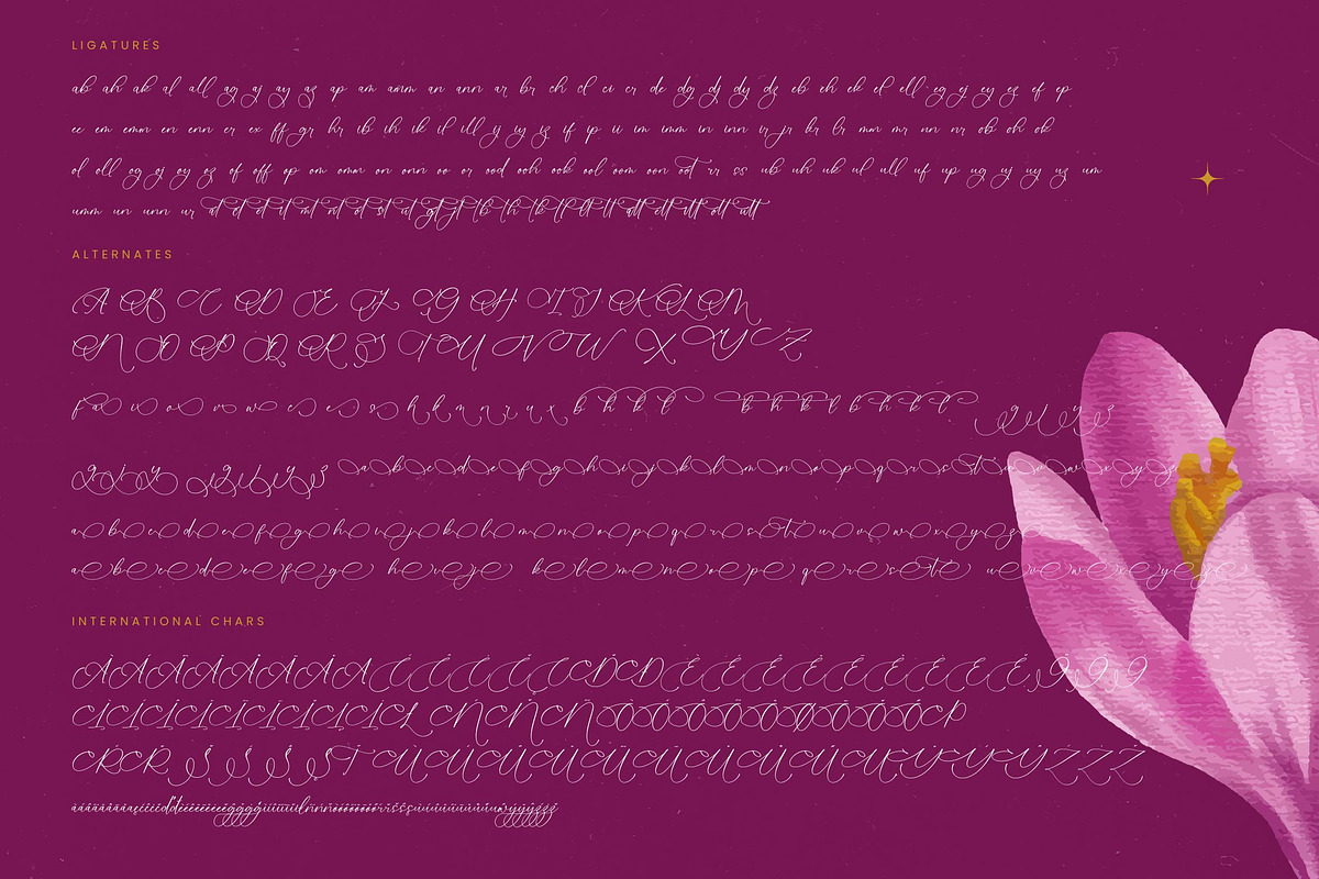 Herlina Aliyah Stylish Calligraphy, a Script Font by stylishtype.co (Photo 19 of 20)