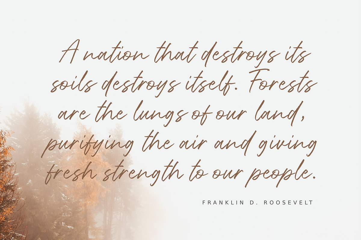 Rottersand - Brush Font, a Script Font by Hendra Pratama (Photo 6 of 7)