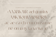 Elarent – Elegant Display Serif Font, a Serif Font by kangfont Studio (Thumbnail 10 of 11)