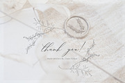 PENCIL ART- Floral line collection, an Illustration by Grace Noboa Illustrations (Thumbnail 12 of 12)