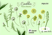 Dandelions Digital Clipart, a Decorative Illustration by Nataliapiache (Thumbnail 2 of 4)