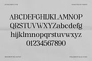 The Serifon Editorial, a Serif Font by Black Studio (Thumbnail 14 of 17)
