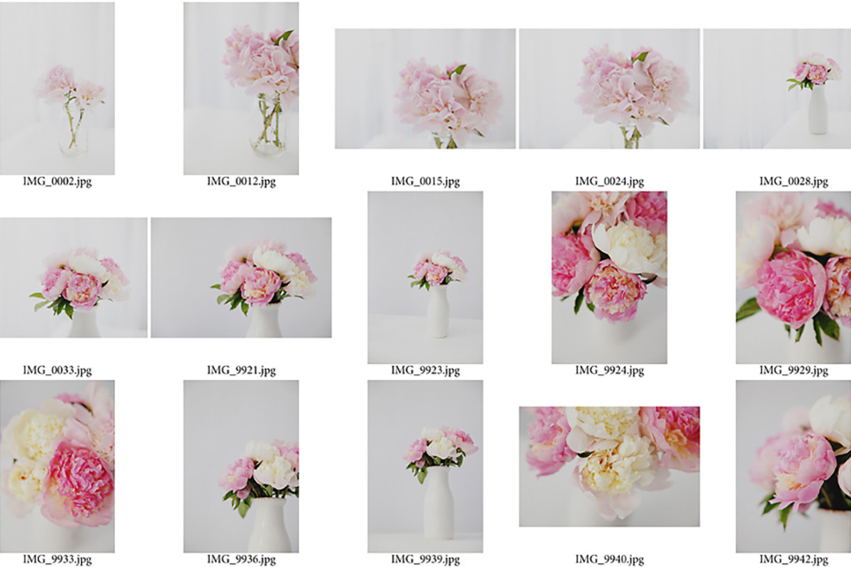 Peony Perfection Styled Stock, a Nature Photo by Susie Design Co (Photo 2 of 3)