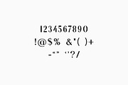 Hydrogenous Elegant Serif Font, a Serif Font by UICreative (Thumbnail 7 of 13)
