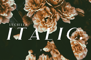 The Elegant Serif Font Bundle