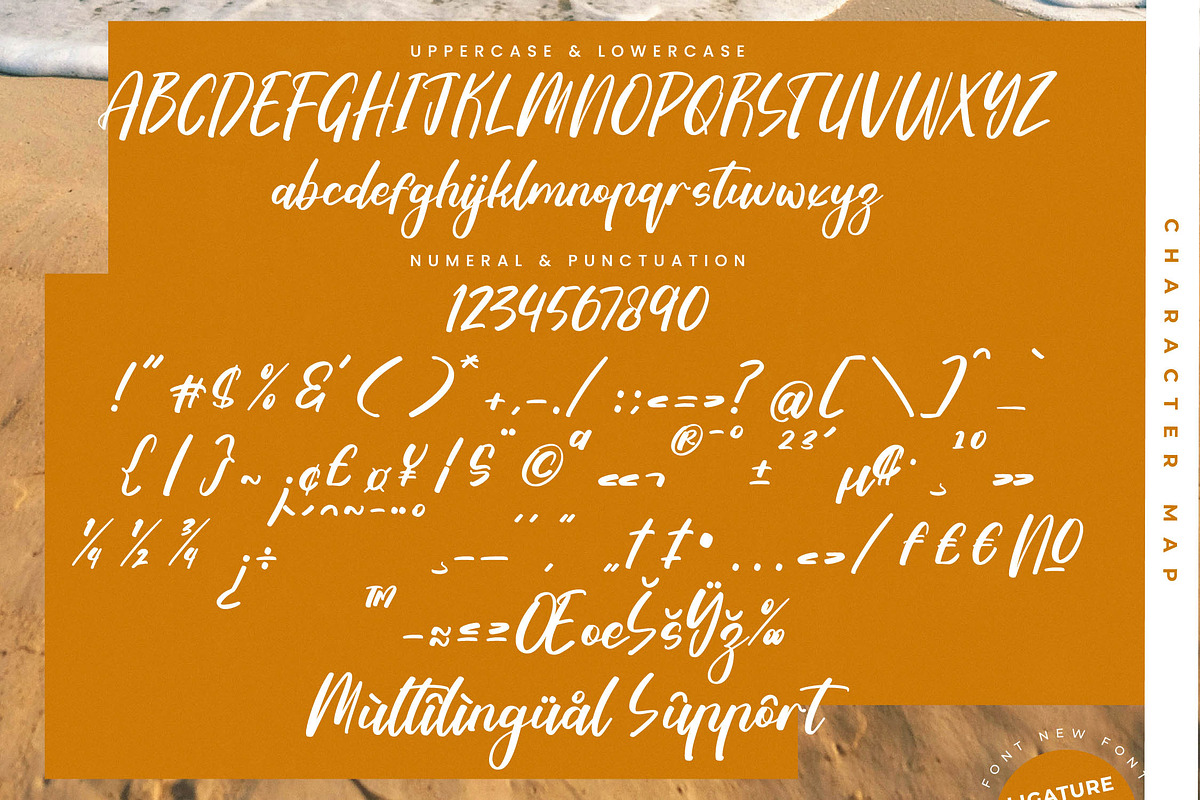 Tropical Crystals Bold Calligraphy, a Script Font by stylishtype.co (Photo 19 of 20)