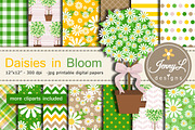 Daisy Flower Digital Paper Clipart, a Pattern Graphic by JennyL Designs (Thumbnail 1 of 8)
