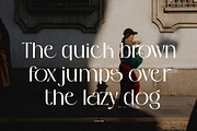 Bostaire Luxury Sans Serif Font, a Sans Serif Font by Heinzel Std (Thumbnail 15 of 15)