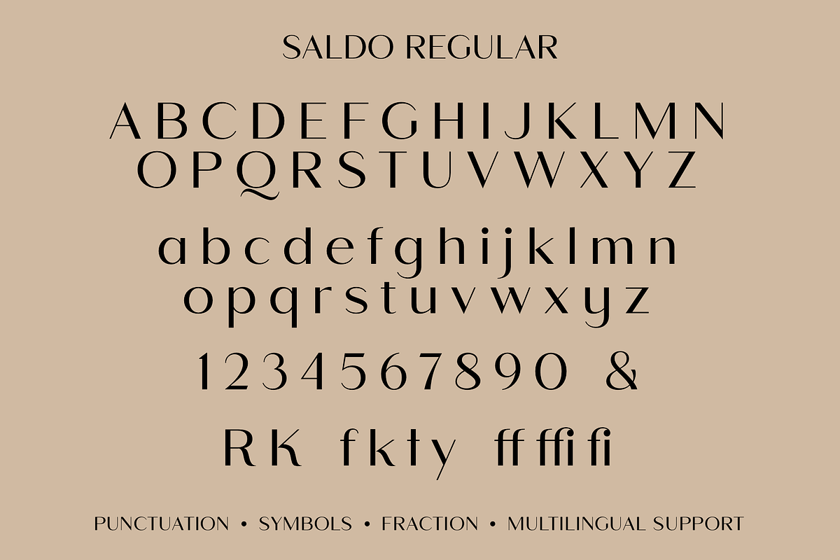 Saldo | Font Family, a Sans Serif Font by Larin Type Co. (Photo 15 of 15)
