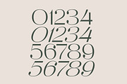 Raslera Modern Serif Display, a Sans Serif Font by timelesstype.co (Thumbnail 14 of 20)