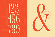 Bagena Mathew Bold Tall Serif, a Serif Font by timelesstype.co (Thumbnail 10 of 20)