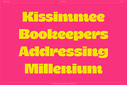 BN Blink, a Sans Serif Font by Bnick (Thumbnail 6 of 16)