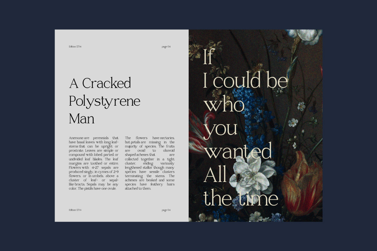 Raveny Modern Elegant Serif, a Serif Font by Vadovastd (Photo 3 of 9)