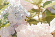 Hydrangea Watercolor Invitation Set, a Decorative Illustration by Sunshine Art (Thumbnail 11 of 13)