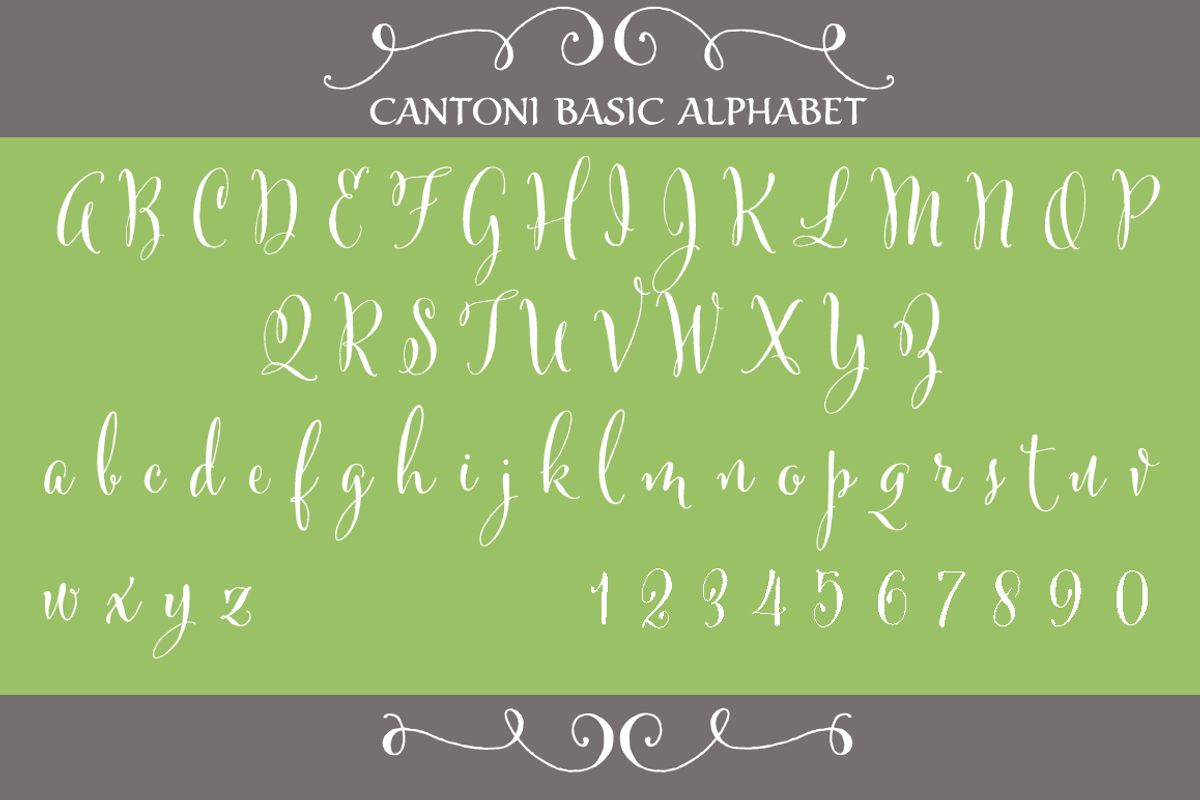 Cantoni Pro Hand Lettered Font preview 3