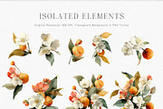 Watercolor Mandarin Clipart Set, a Decorative Illustration by ThaismotaCreativeCo (Thumbnail 2 of 13)