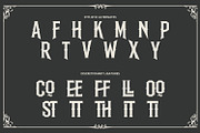 Whitecopy, a Symbol Font by Vintage Division (Thumbnail 13 of 15)