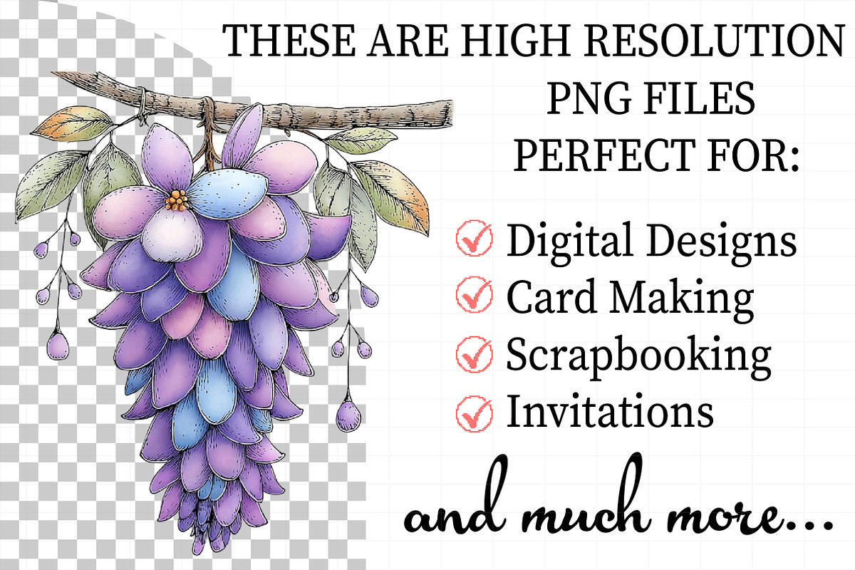Spring Flowers Sublimation Clipart, an Illustration by Daily.Designs (Photo 2 of 7)