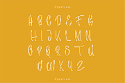 Celmira | A Embroidery Script Font, a Handwritten Font by Berdansabersama (Thumbnail 2 of 8)