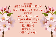 Blooming Pages Spring Font, a Font by PutraCetol Studio (Thumbnail 5 of 5)