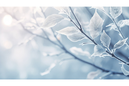 natural ice pattern weather, a Nature Photo by pikepicture