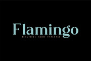 Flamingo, a Serif Font by Kleffont Studio (Thumbnail 11 of 11)