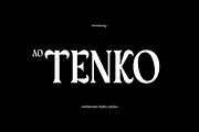 AO Tenko - Display Typeface, a Serif Font by OwunStudio (Thumbnail 1 of 15)