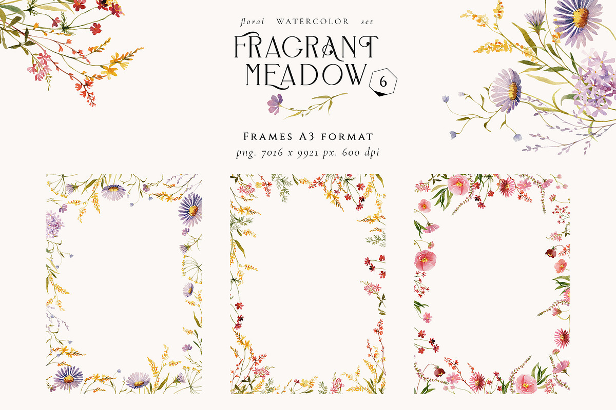 Fragrant Meadow - watercolor flowers, a Decorative Illustration by Pamyatka Shop (Photo 9 of 13)