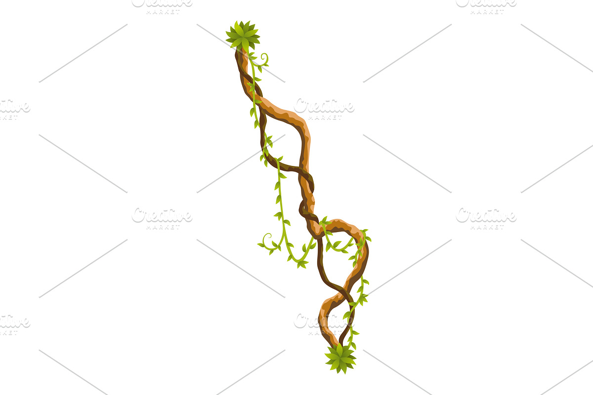 Liana branch. Twisted wild jungle, an Object Illustration by the8monkey