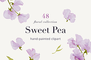 30% Off - Sweet Pea Watercolor
