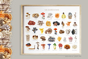 Mushrooms Watercolor Clipart, a Food Illustration by AnitaPol (Thumbnail 8 of 24)