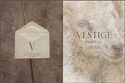 Vestige II · Organic Backgrounds, a Background Graphic by alonahaidash (Thumbnail 4 of 16)