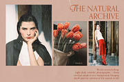 Paper Wood Texture Overlays White, a Texture Graphic by Yuliya Derbisheva (Thumbnail 4 of 11)