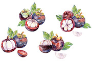 Watercolor tropical fruits., an Illustration by TaPilipa (Thumbnail 24 of 39)
