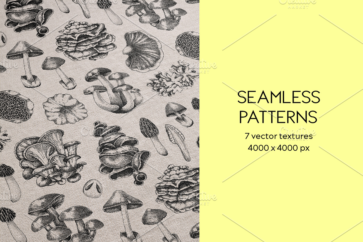 Mushrooms Vector Illustration Set, an Object Illustration by Yevheniia (Photo 12 of 14)