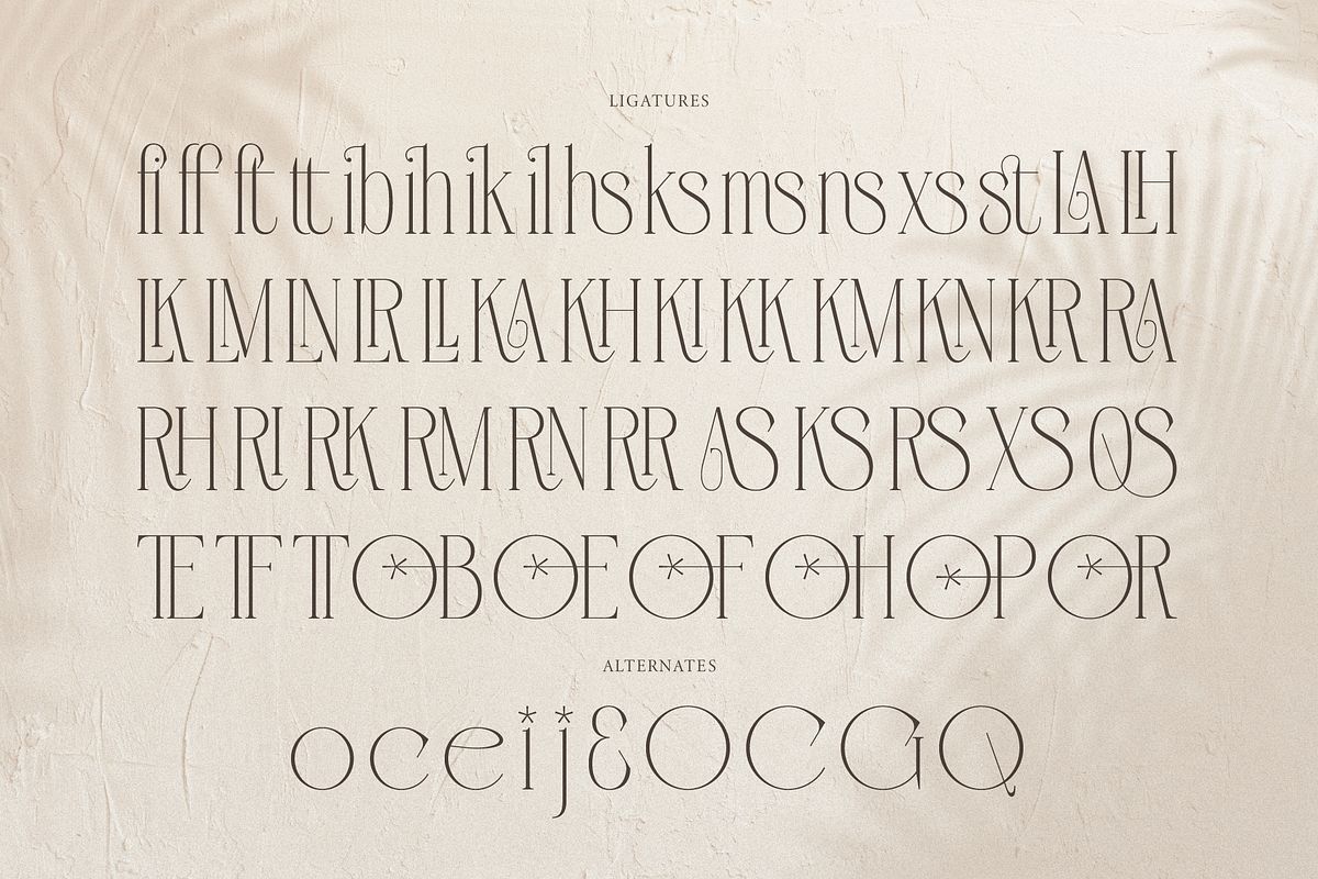 Orlevin | New Modern Serif, a Serif Font by gracetype_studio (Photo 12 of 12)