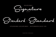 Signature Script Intro Sale, a Script Font by Fenotype (Thumbnail 6 of 12)