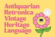Ayngo Sofun Retro Display Font, a Serif Font by timelesstype.co (Thumbnail 17 of 20)