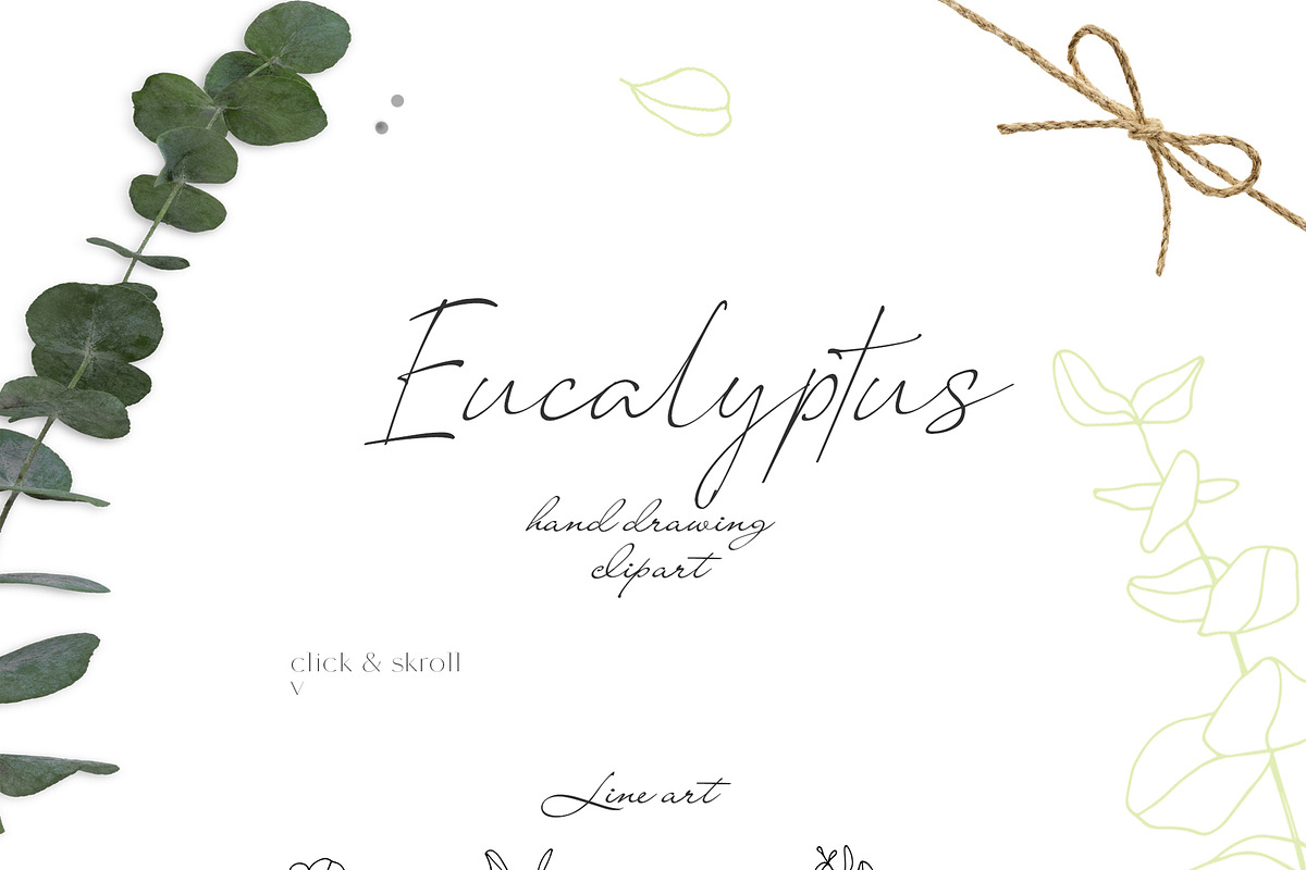 Eucalyptus, a Person Illustration by Hand drawn Boutique (Photo 2 of 8)