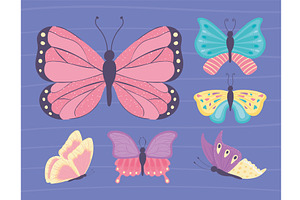different butterfly set, an Animal Illustration by studiogstock