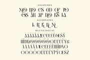 Glamora Stylish Display Font, a Serif Font by Storytype Studio (Thumbnail 14 of 15)