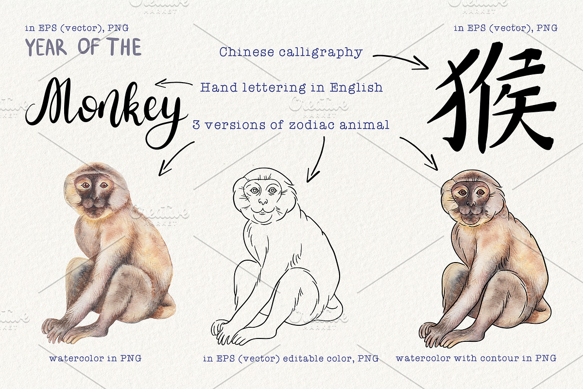 12 Chinese Zodiac Animals set, an Animal Illustration by Alena Solonshchikova (Photo 6 of 13)