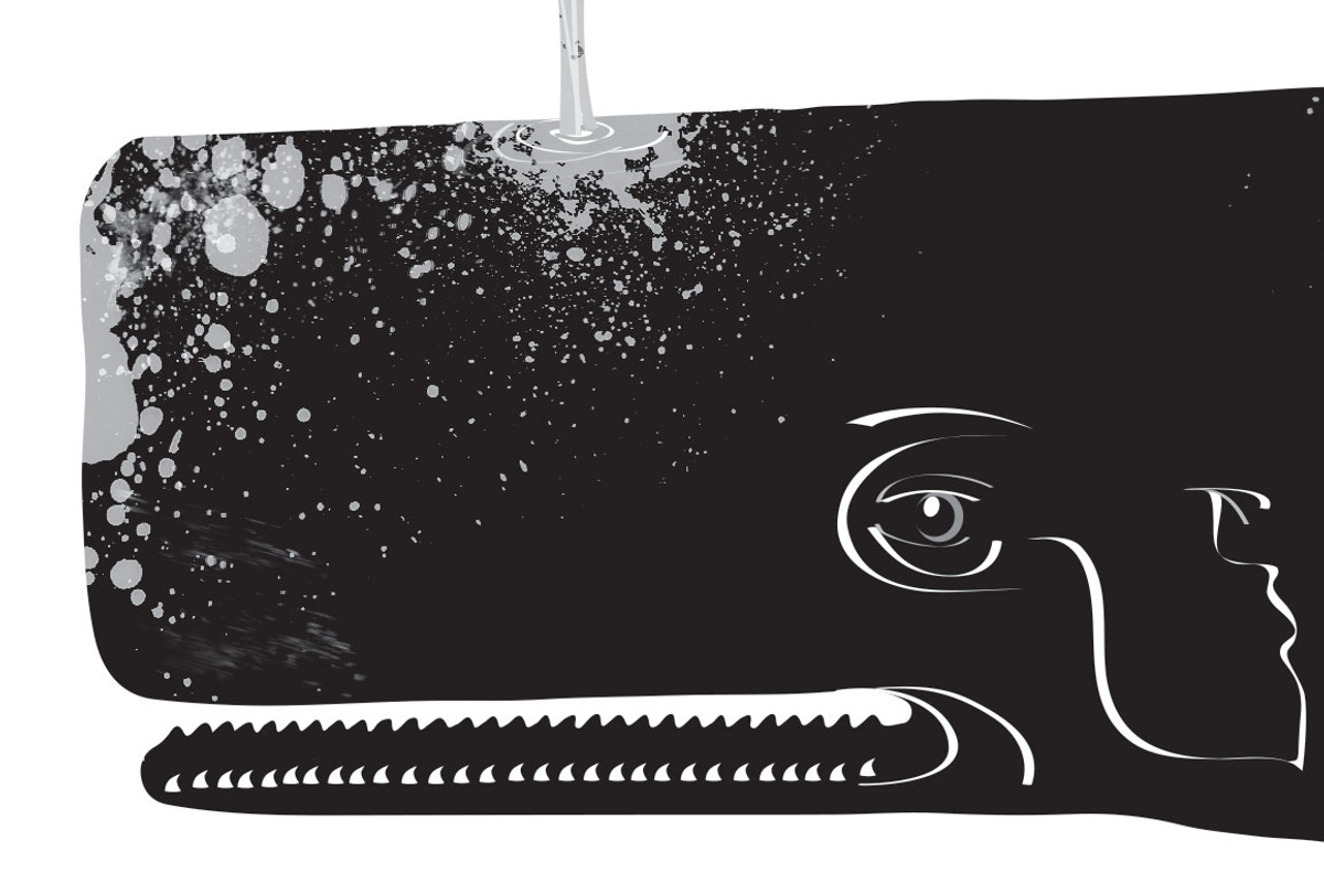 Folk Art Whale Illustration, an Animal Illustration by Digital Art Downloads (Photo 3 of 3)
