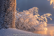 Winter Forest Swing Digital Backdrop, a Background Photo by Winwin Design Art (Thumbnail 7 of 7)