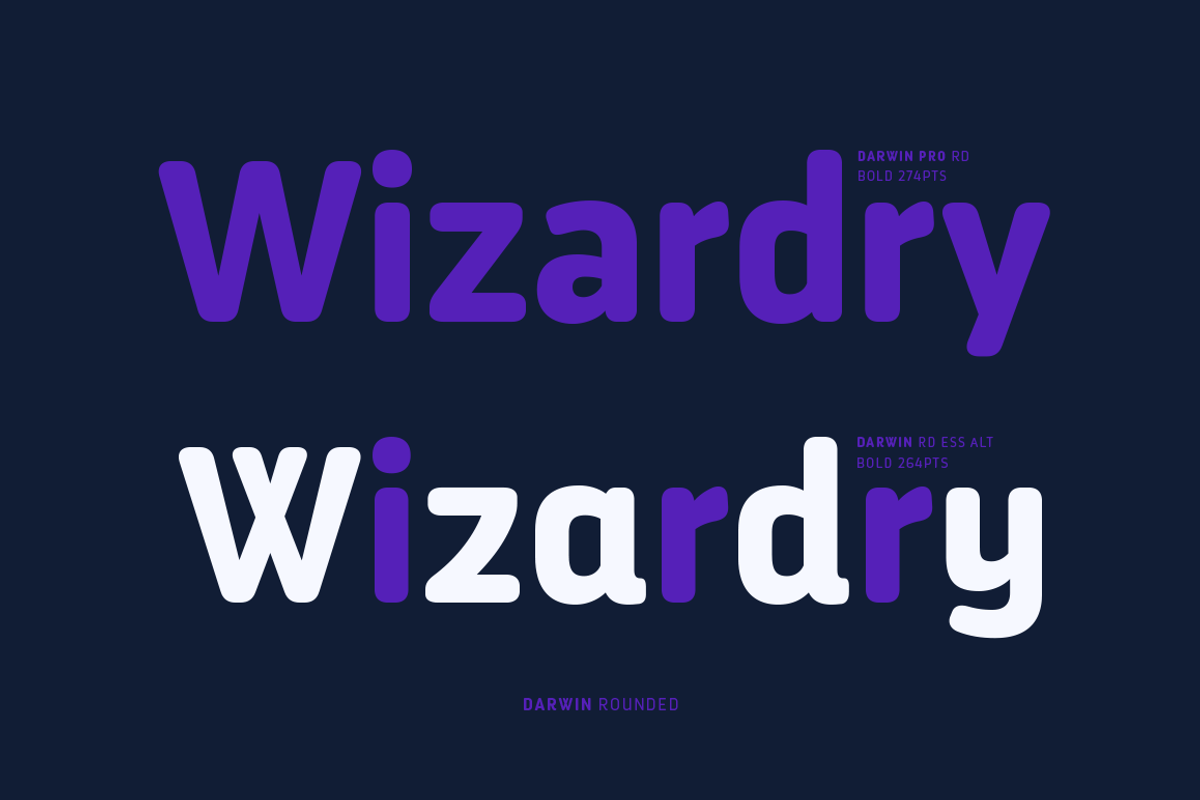 Darwin Rounded - Family 50% off, a Sans Serif Font by Los Andes Type (Photo 14 of 15)