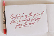 Starlight Alaska - Brush Script, a Handwritten Font by Subectype Studio (Thumbnail 5 of 8)
