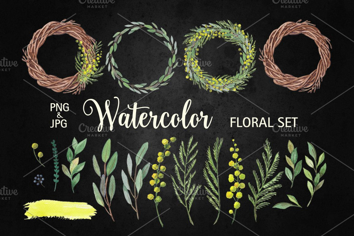 Set of watercolor mimosa flower, a Decorative Illustration by natadanko (Photo 3 of 3)