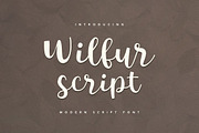 Huge Font Bundle • 98% off, a Script Font by vuuuds (Thumbnail 63 of 75)
