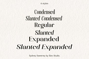 Sydney Sweeney, a Serif Font by Slex Studio (Thumbnail 4 of 12)